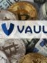 Ed Freeze Vauld Rs 370 Crore Bank Assets: How To Recover?